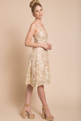 Delilah Lace Dress Beige
