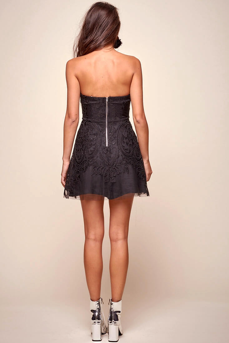 Diaz Glam Embroidered Fit and Flare Dress Black