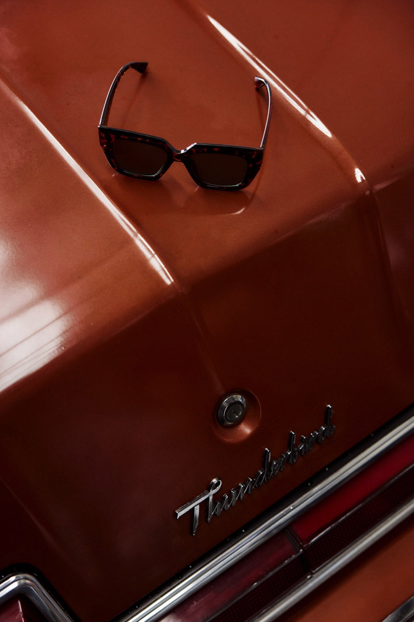 Cate Oversized Sunglasses Tortoiseshell Brown