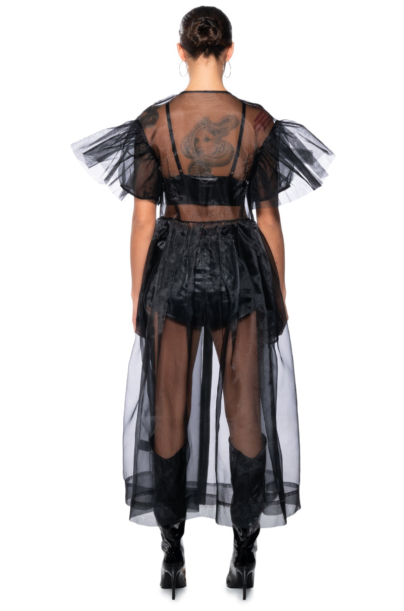 DAPHINE MESH DUSTER