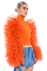 DARING TULLE RUFFLE LONG SLEEVE TOP