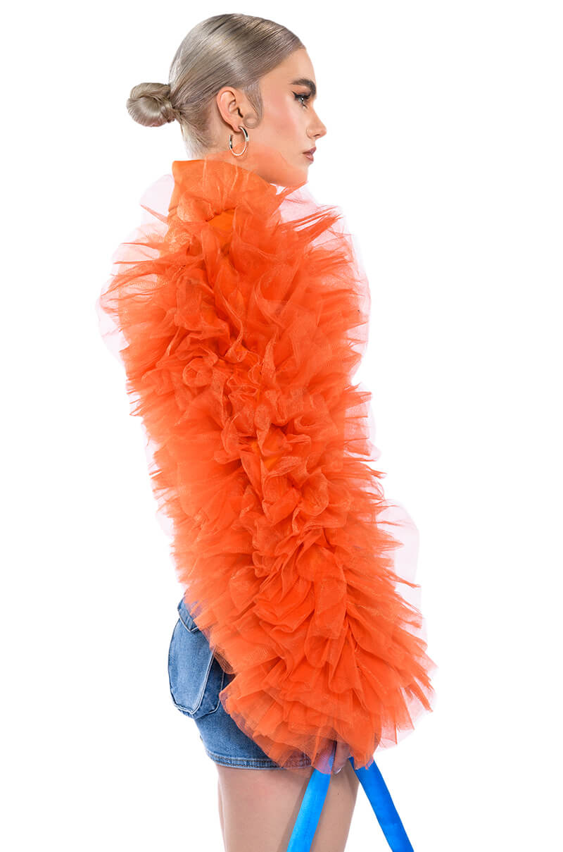 DARING TULLE RUFFLE LONG SLEEVE TOP
