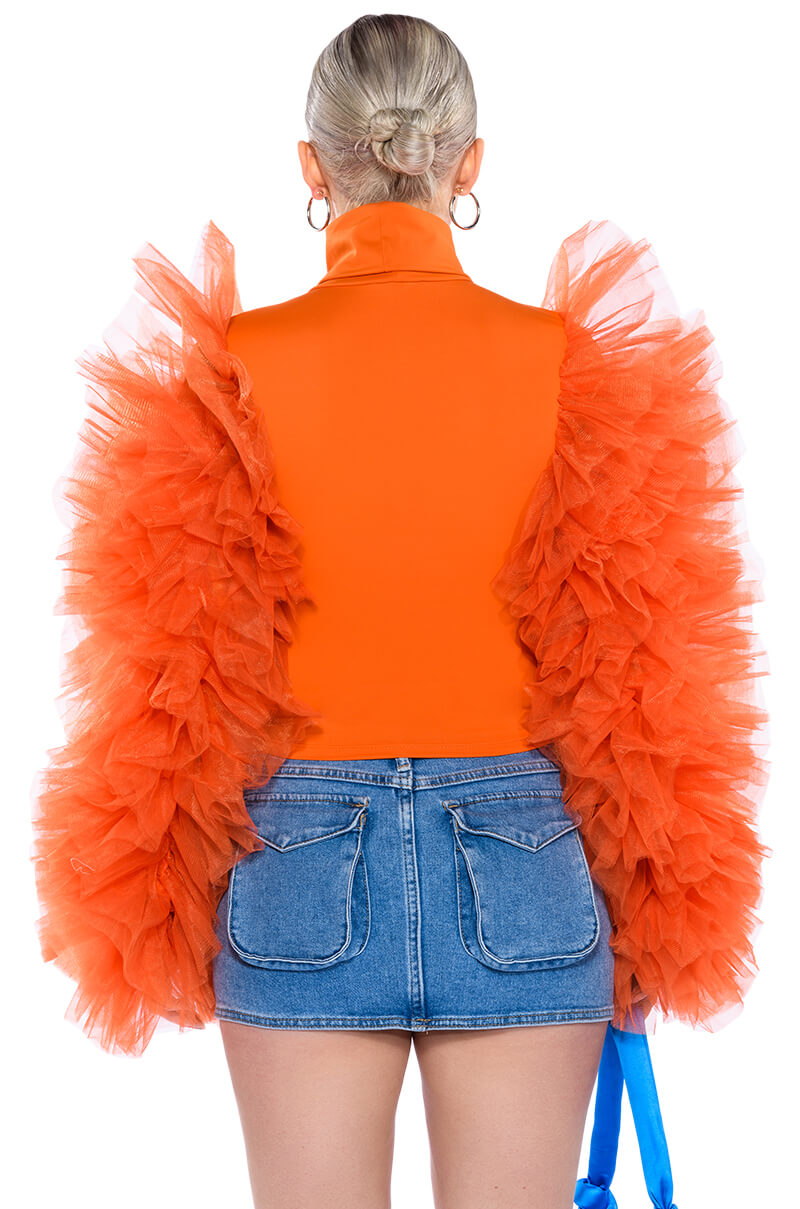 DARING TULLE RUFFLE LONG SLEEVE TOP