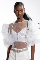 DAYDREAMIN SHEER RUFFLE SLEEVE TIERED DRESS