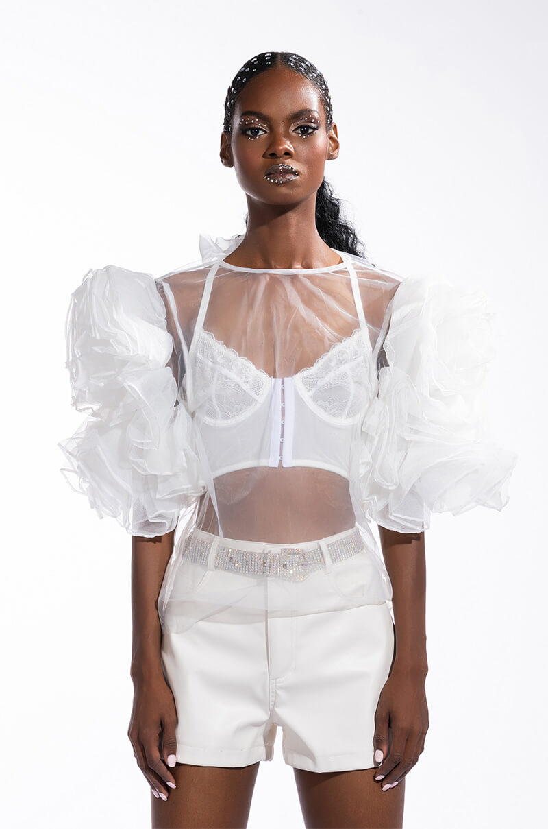 DAYDREAMIN SHEER RUFFLE SLEEVE TIERED DRESS
