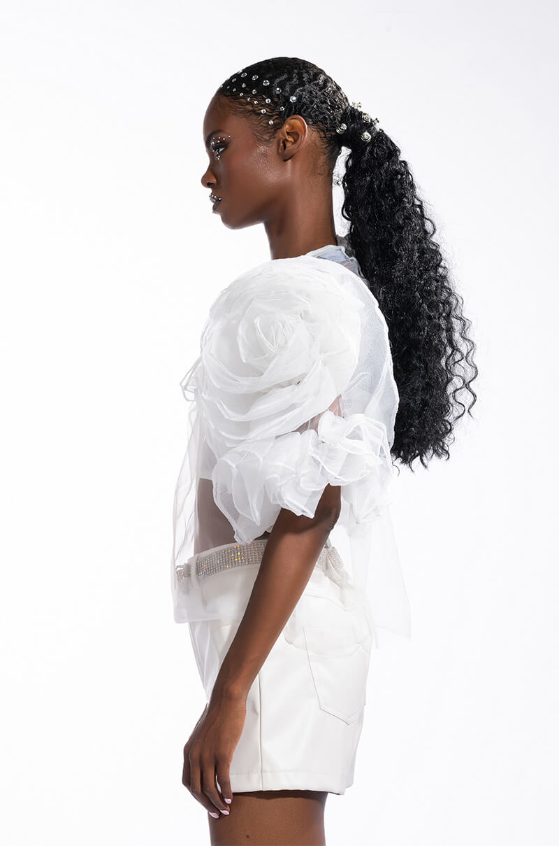 DAYDREAMIN SHEER RUFFLE SLEEVE TIERED DRESS