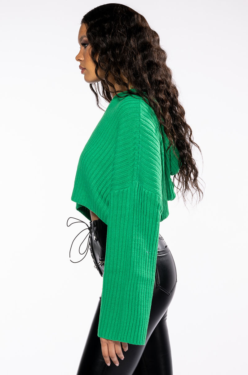 HAPPY GO LUCKY HOODED CROPPED SWEATER