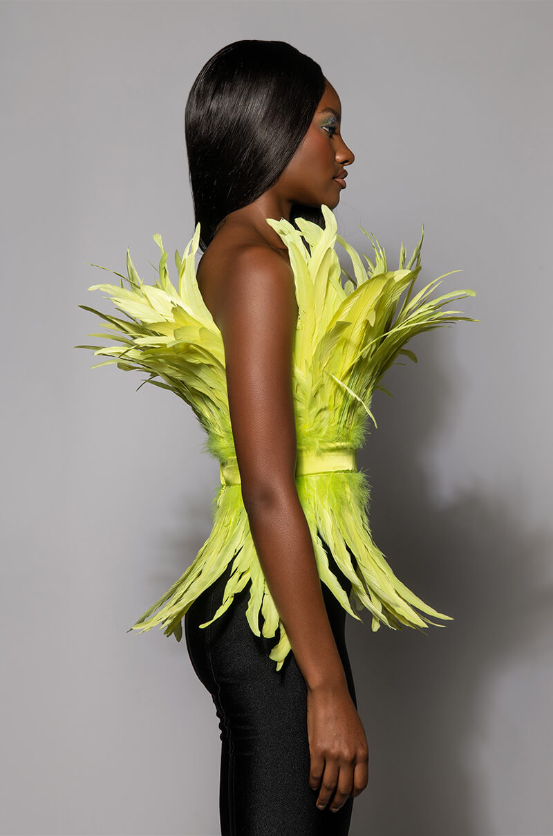 ISLA STATEMENT STRAPLESS FEATHER TOP