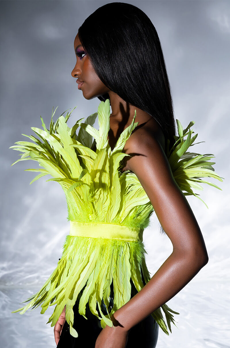 ISLA STATEMENT STRAPLESS FEATHER TOP