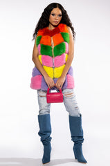 JAYLEY BRAND FAUX FUR RAINBOW VEST