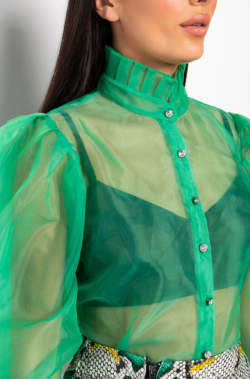 LADY LIKE PUFF SLEEVE BLOUSE