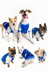 NO CAP MATCHING DOG BOMBER