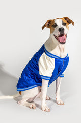 NO CAP MATCHING DOG BOMBER