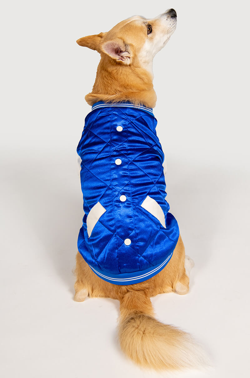 NO CAP MATCHING DOG BOMBER