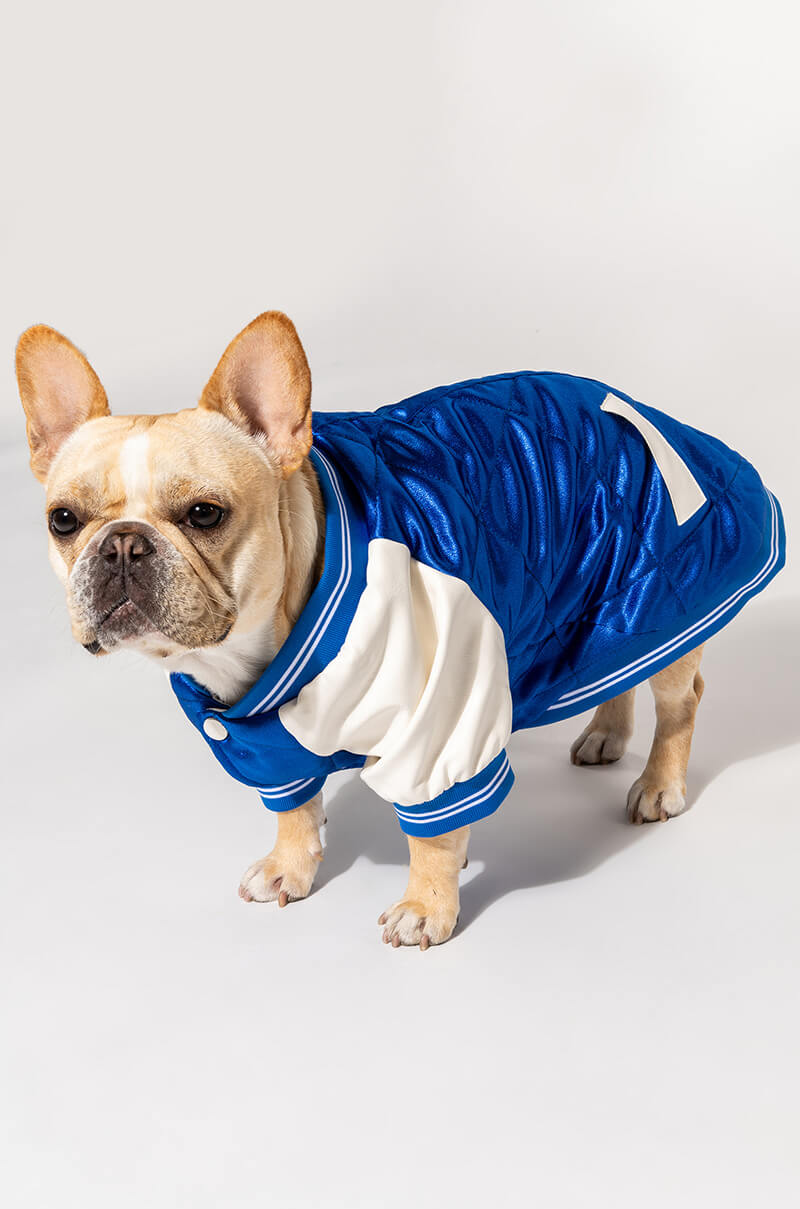 NO CAP MATCHING DOG BOMBER