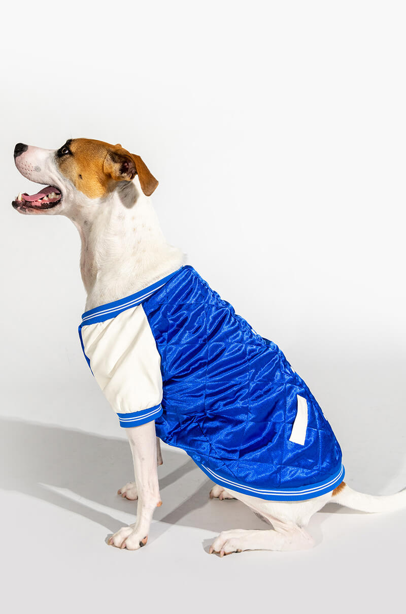 NO CAP MATCHING DOG BOMBER