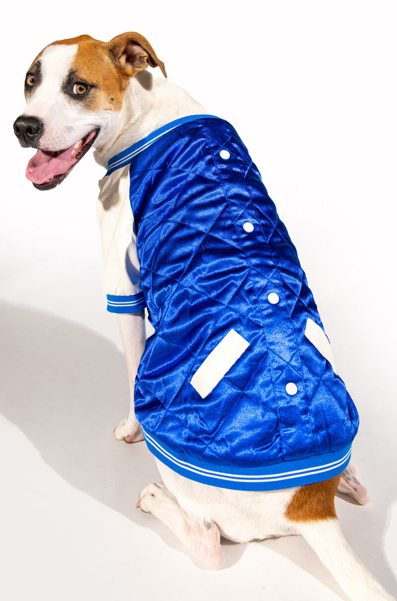 NO CAP MATCHING DOG BOMBER