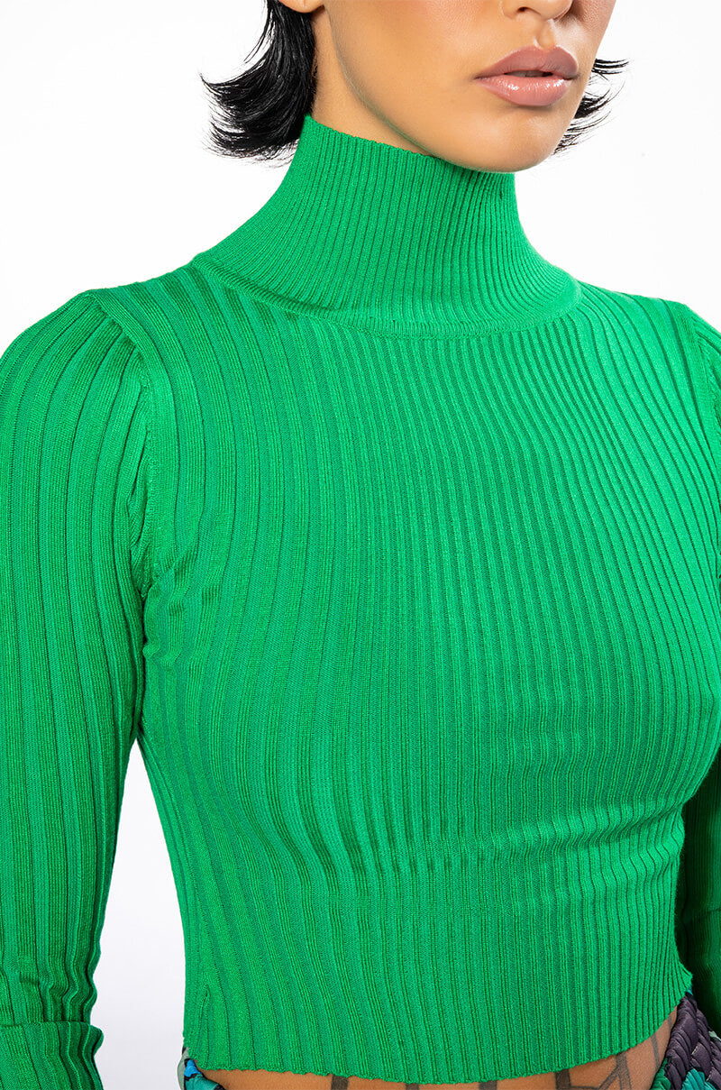 NO DOUBT ABOUT IT CROP RIBBED TURTLENECK TOP