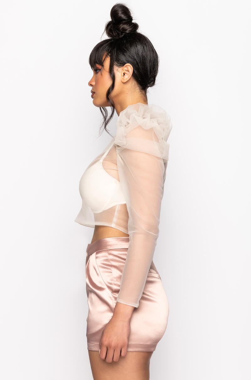 ON THE ROCKS PUFF SLEEVE TULLE BLOUSE