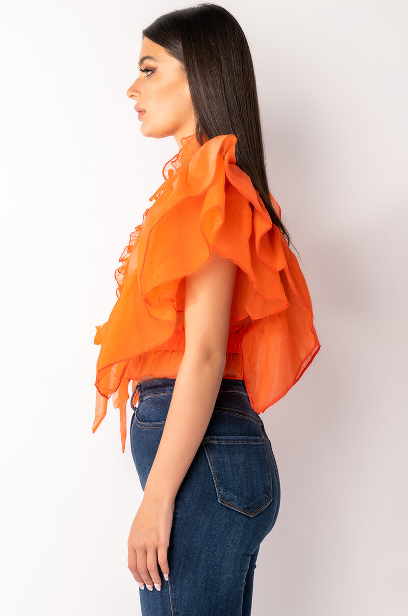 OUTTA MY WAY RUFFLE SLEEVE ORGANZA TIE FRONT BLOUSE