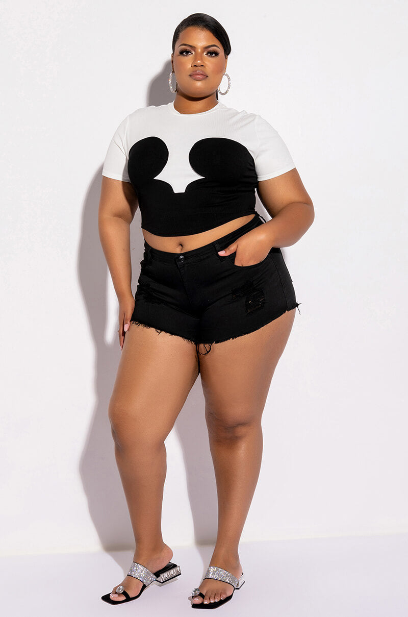 PLUS DAPHNE COLORBLOCK CREW NECK TSHIRT