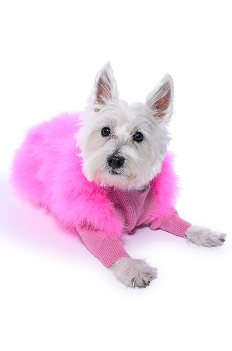 QUINN FEATHER DOGGY SWEATER