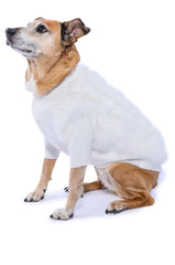 QUINN FEATHER DOGGY SWEATER