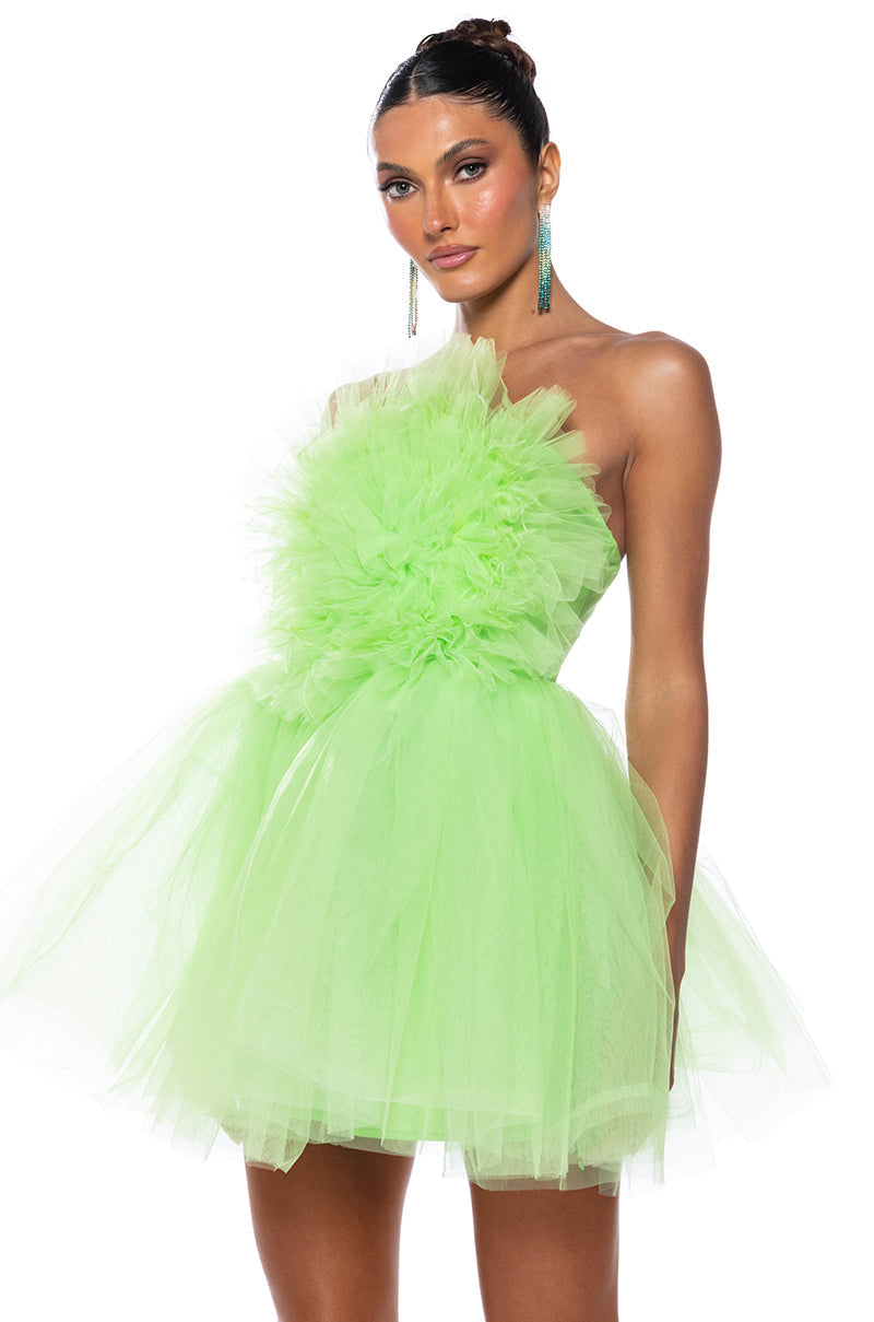 SOMETHING LIGHT TULLE MINI DRESS