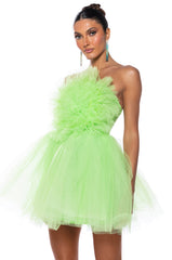 SOMETHING LIGHT TULLE MINI DRESS