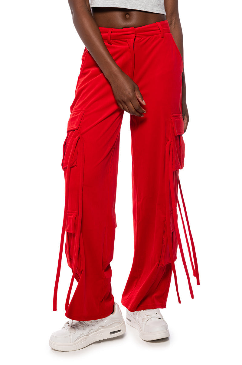 STYLIST WIDE LEG VELVET CARGO PANTS