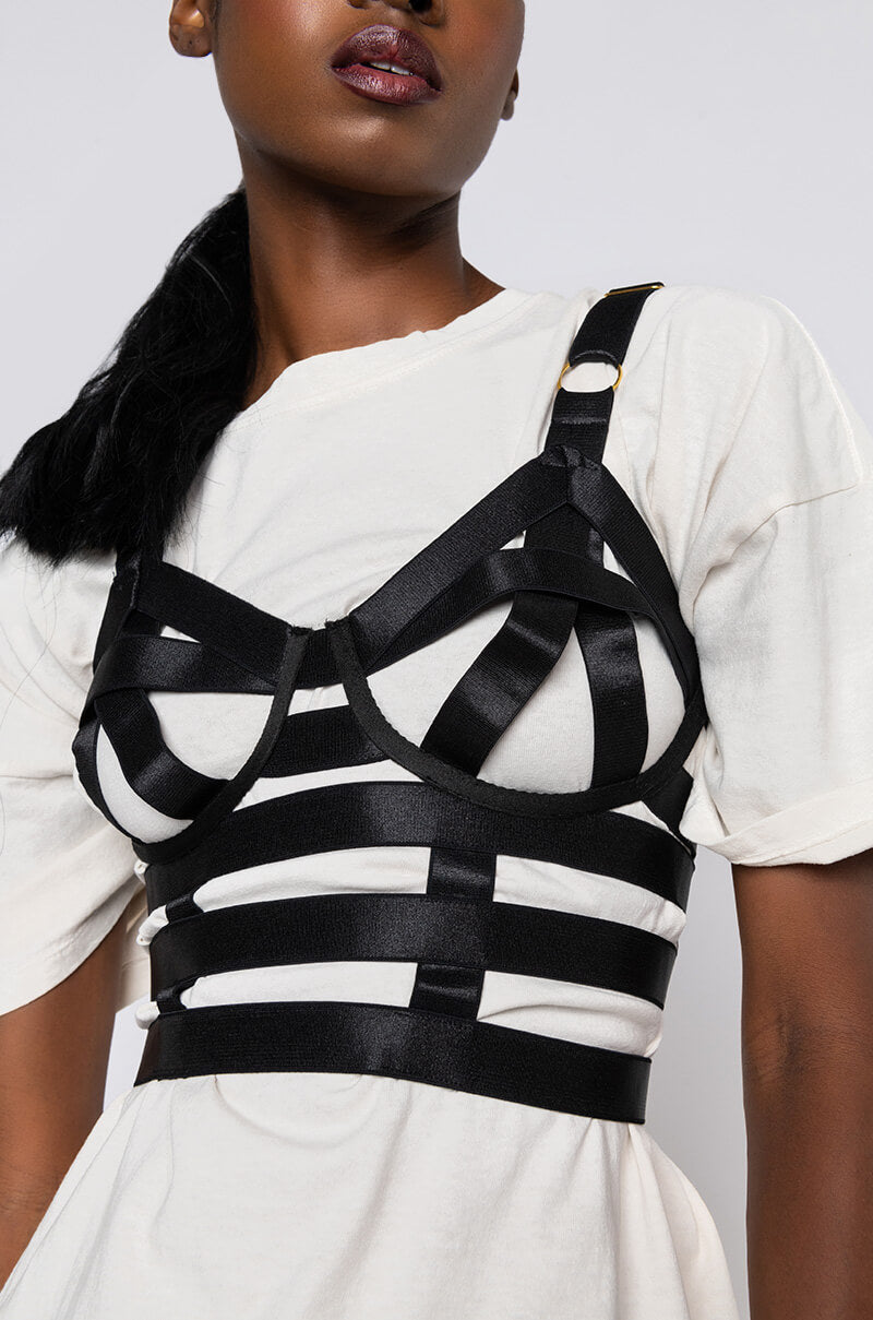WHEN SEXY STRIKES BUSTIER TOP